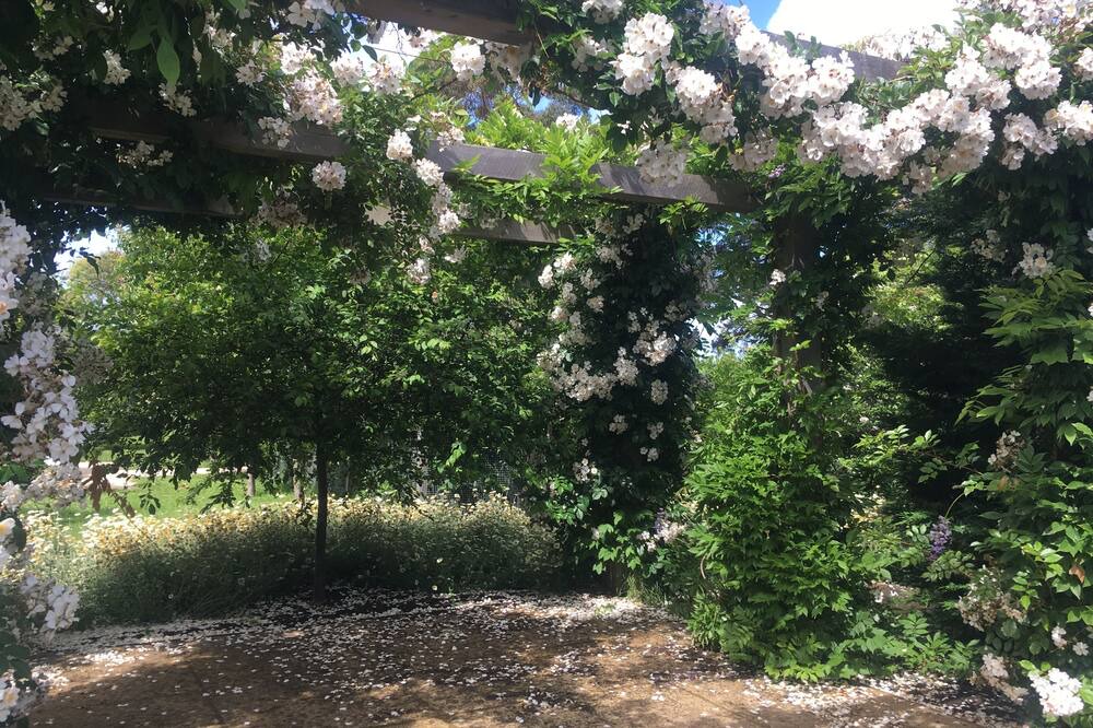 Photo of Outdoor in Shoreham