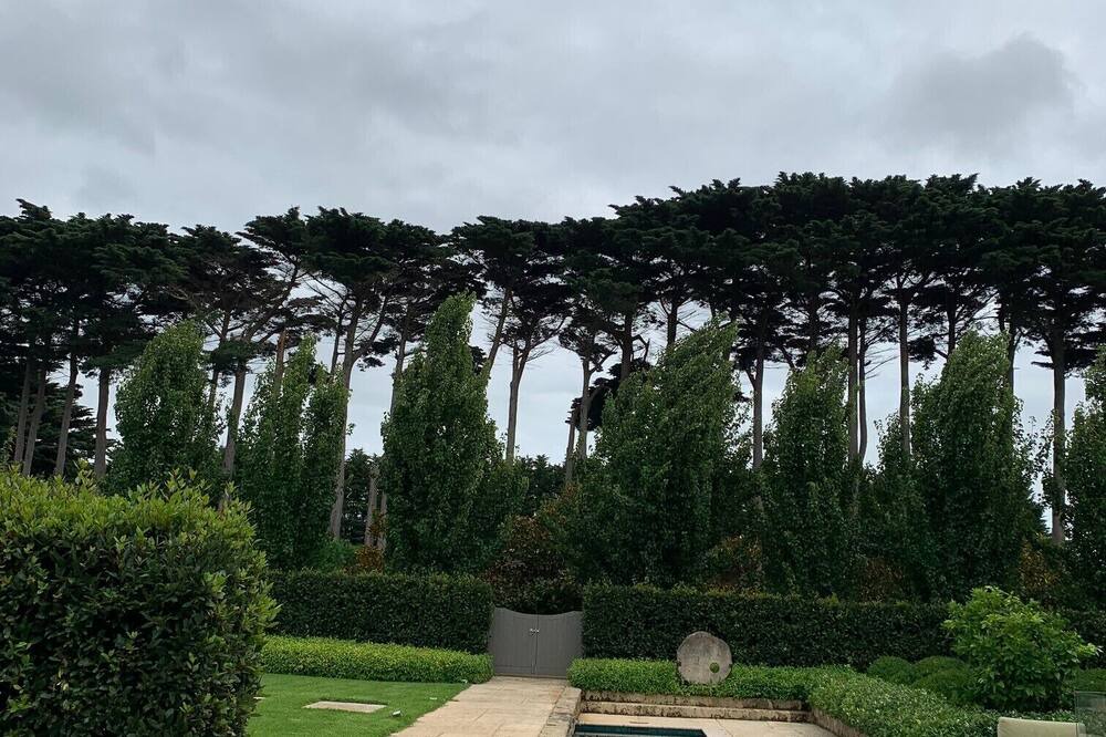 Photo of Outdoor in Shoreham