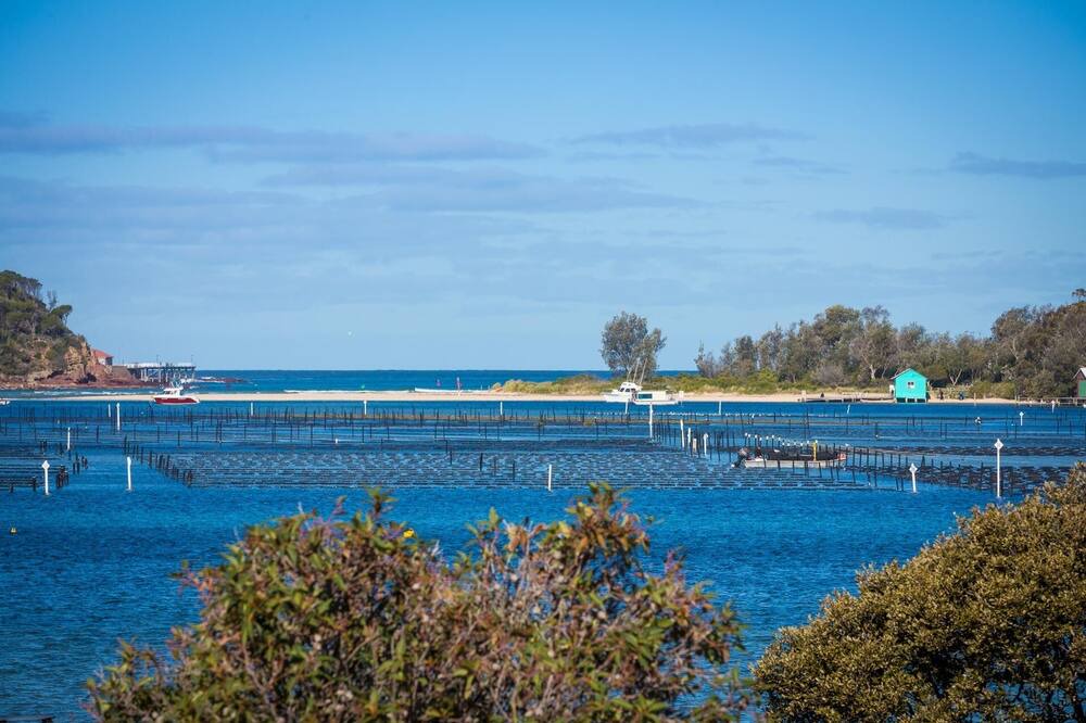 Photo of Outdoor in Merimbula