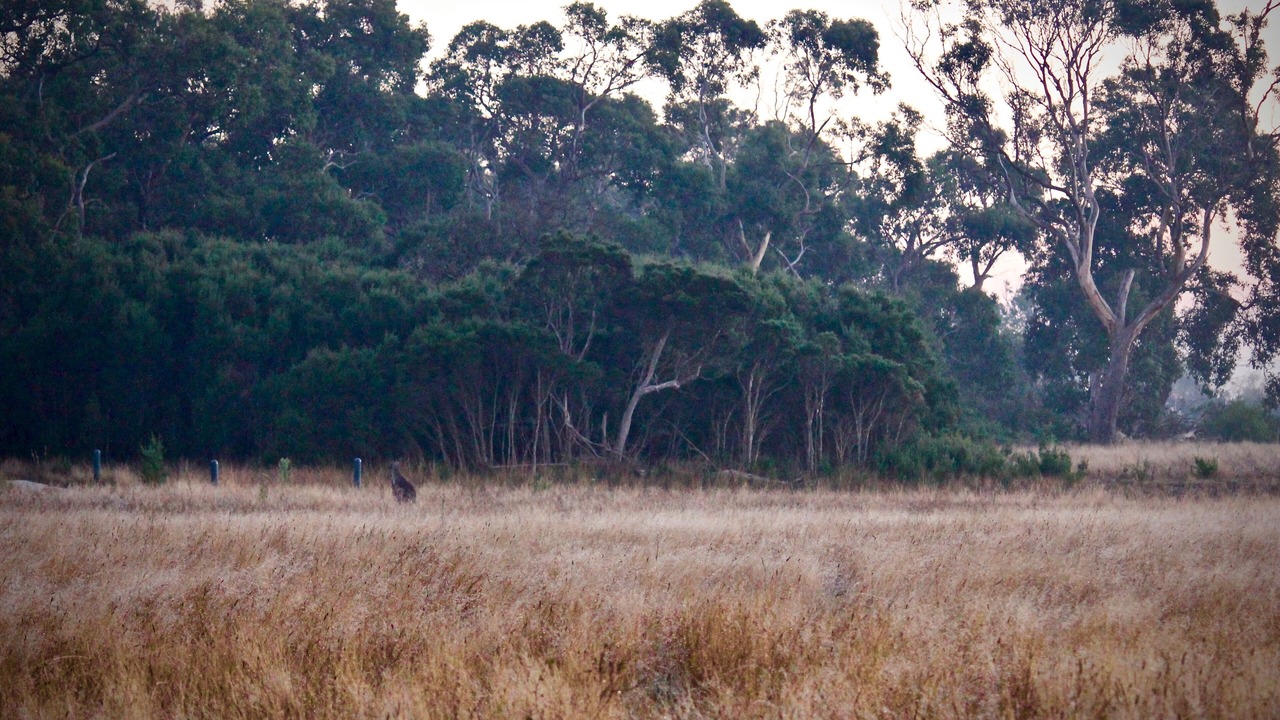 Photo of Outdoor in Inverloch