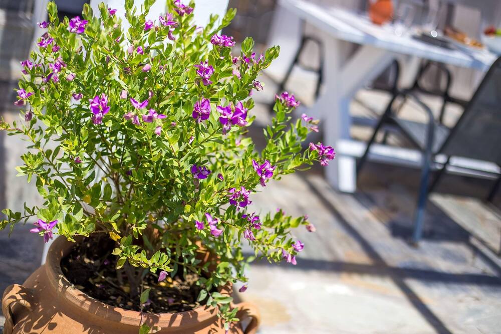 Photo of Outdoor in Faliraki