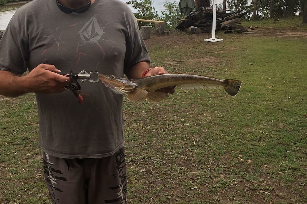 Photo of Outdoor in Pacific Haven