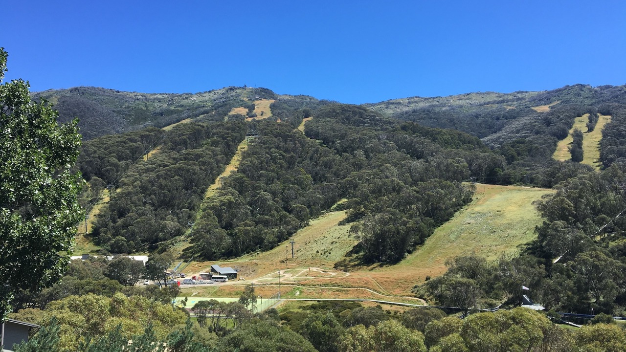 Photo of Others in Thredbo