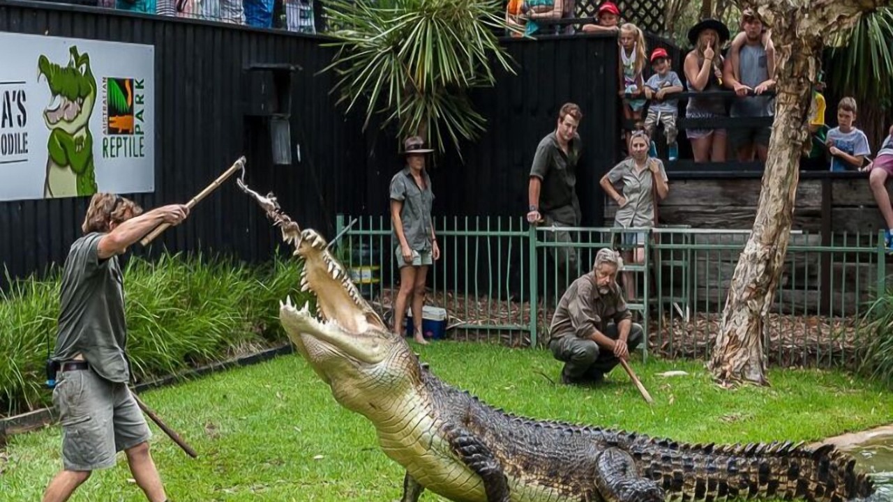 Photo of Others in West Gosford