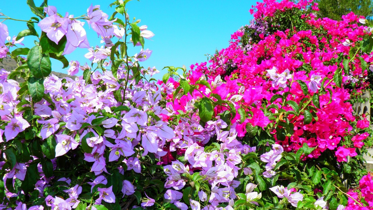 Photo of Outdoor in Stegna