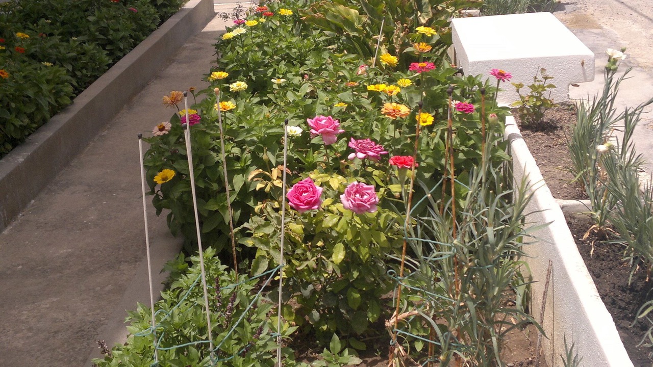 Photo of Outdoor in Kardamena