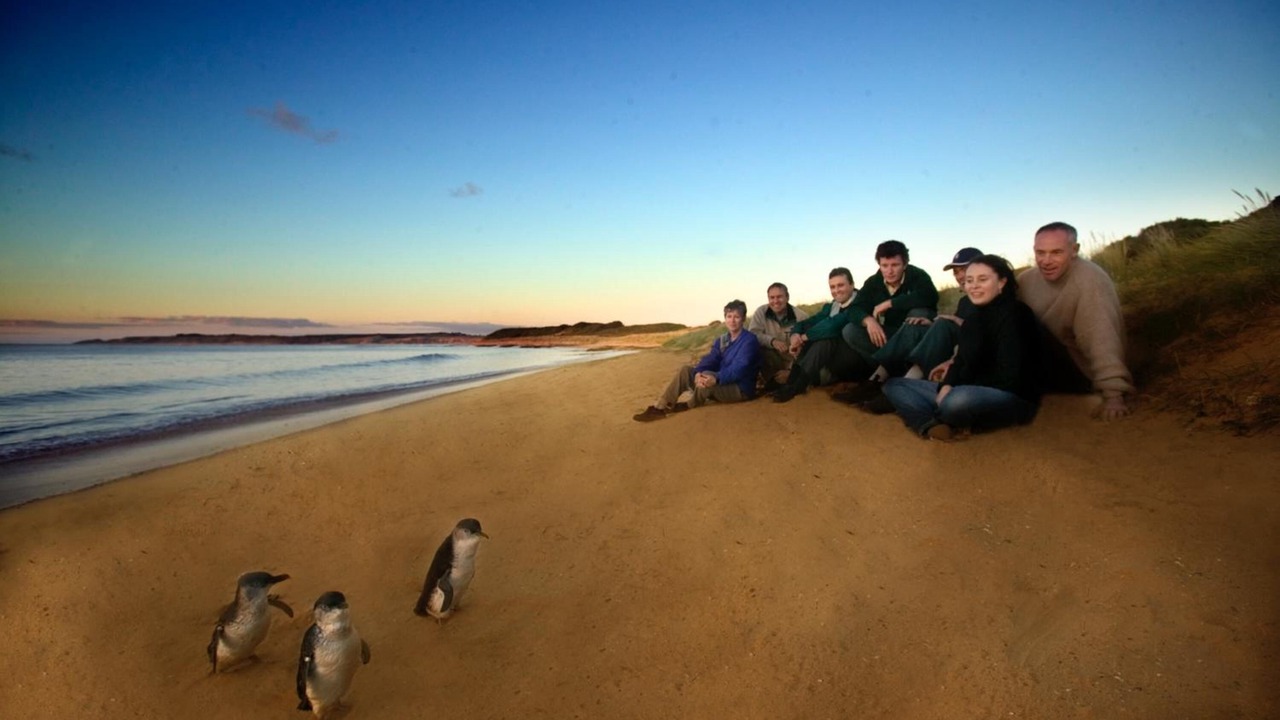 Photo of Others in Newhaven