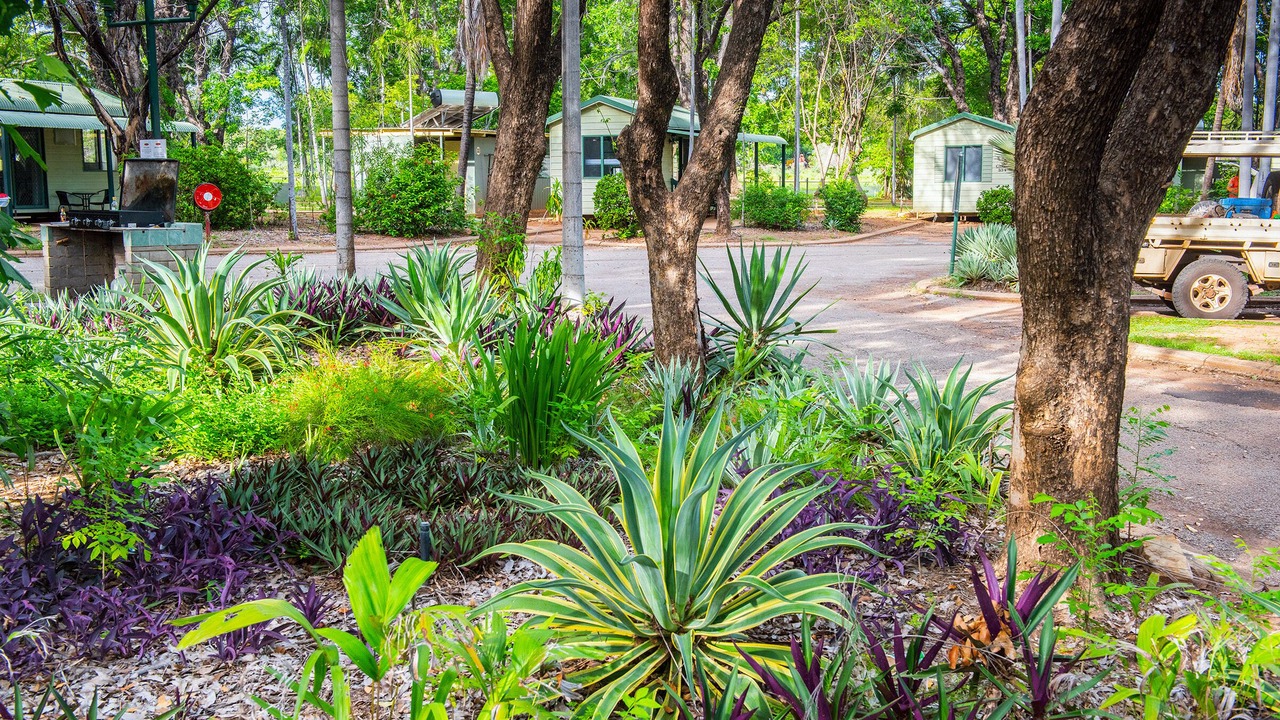 Photo of Others in Katherine