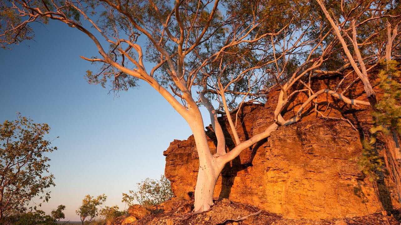 Photo of Outdoor in Katherine