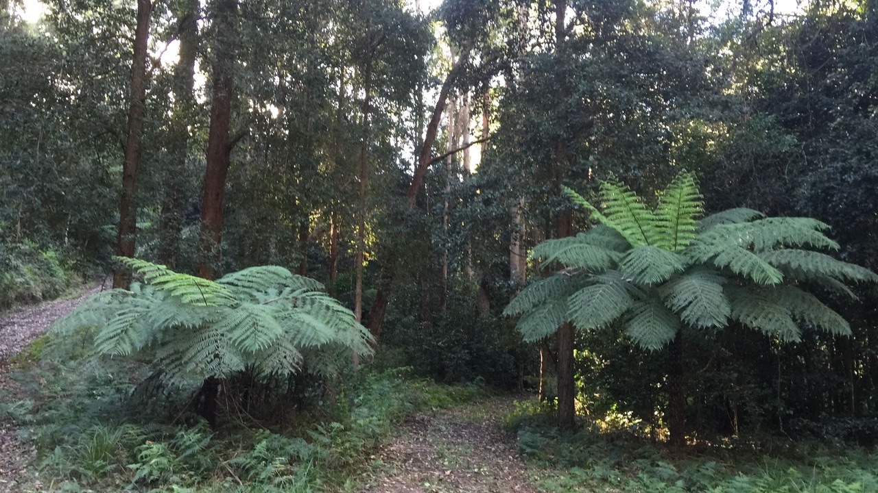 Photo of Outdoor in Conjola