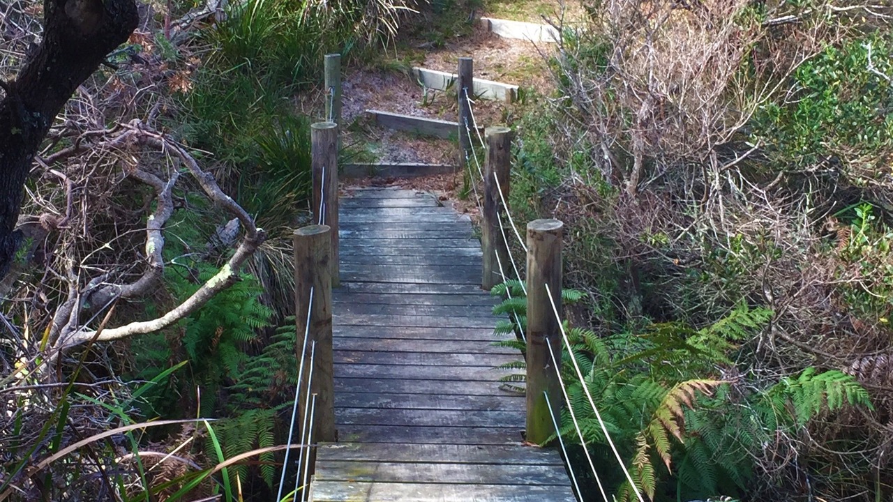 Photo of Outdoor in Douglas River