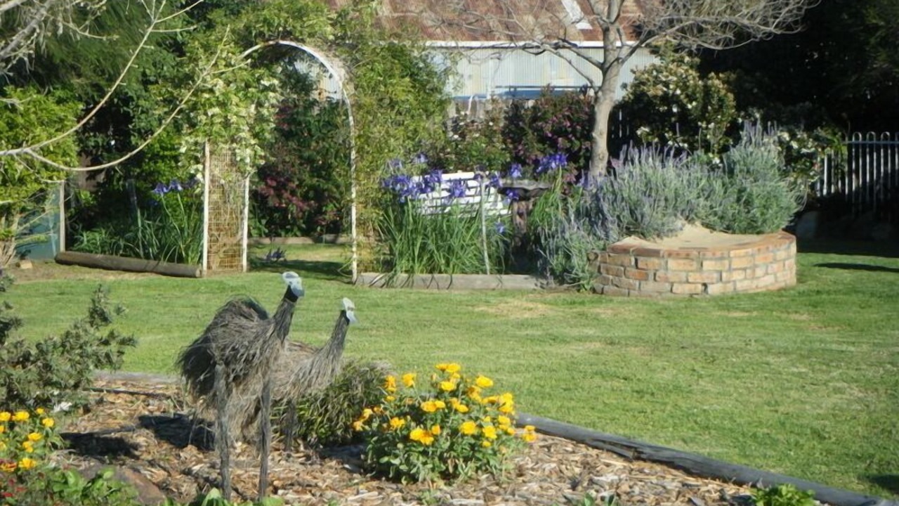 Photo of Outdoor in Gilgandra