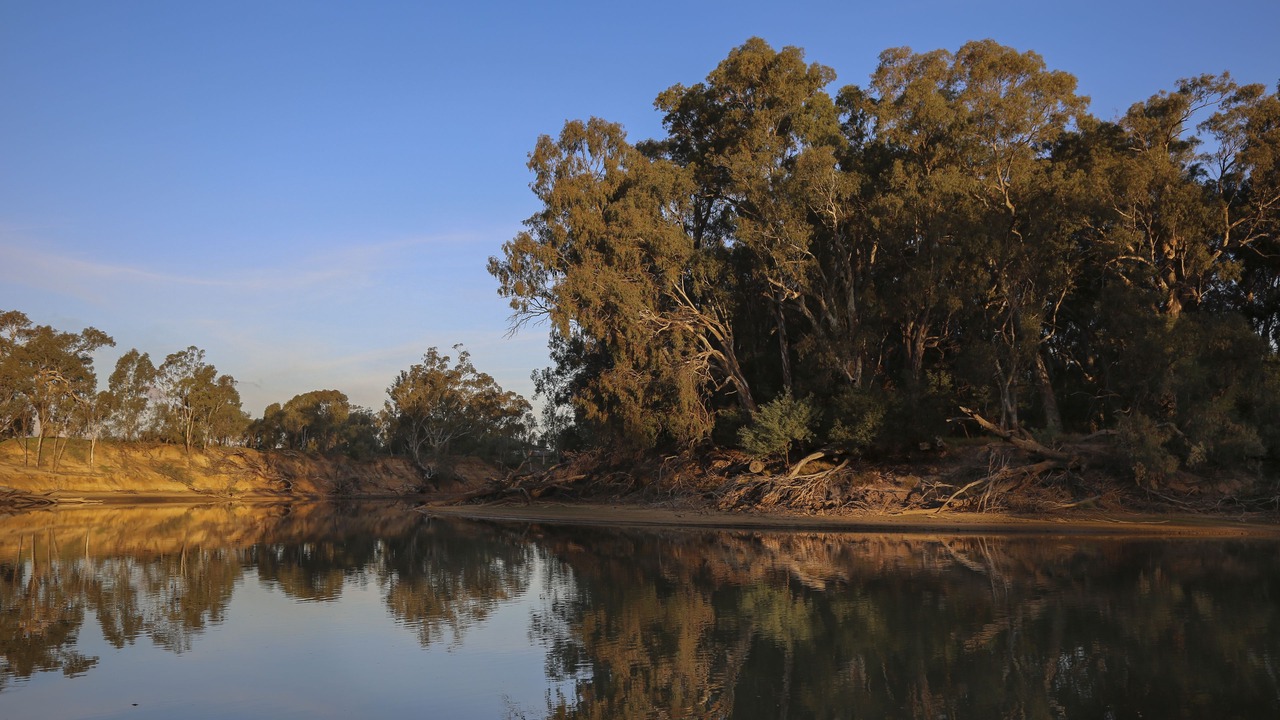 Photo of Outdoor in Moama