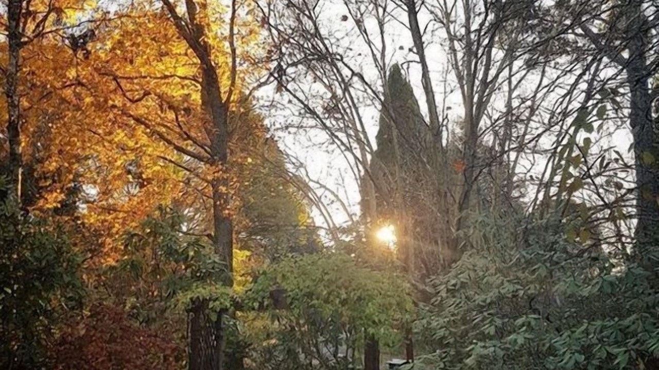 Photo of Outdoor in Blackheath