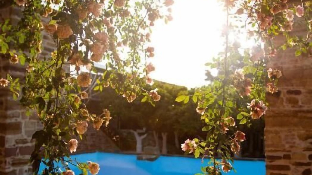 Photo of Outdoor in Agios Minas