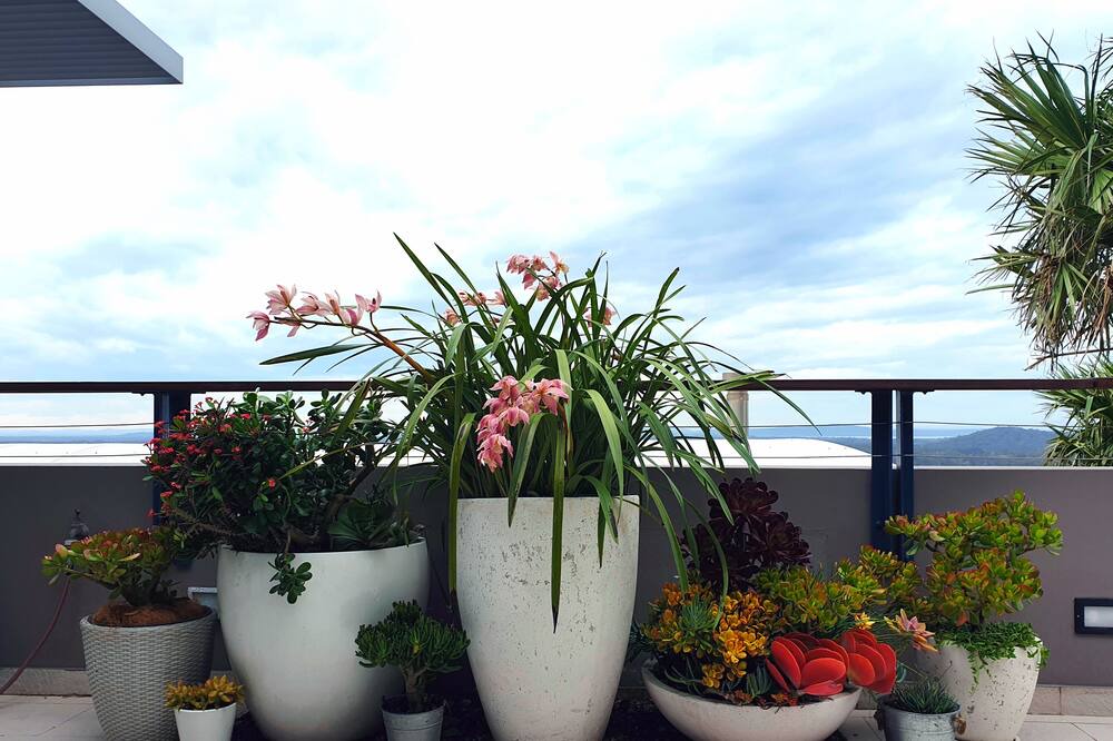 Photo of Patio Balcony in Boat Harbour