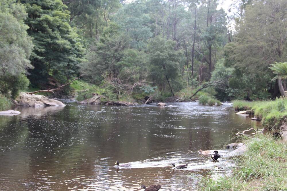 Photo of Outdoor in Warburton