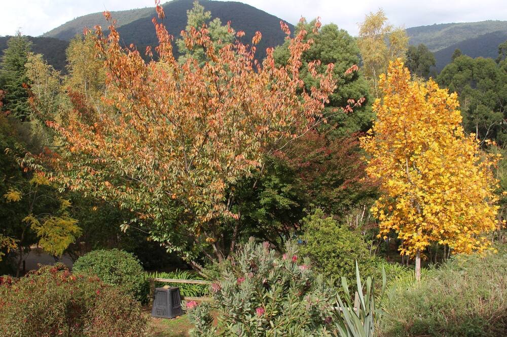 Photo of Outdoor in Warburton