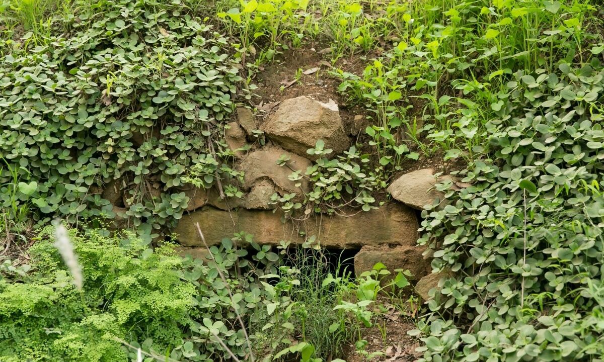 Photo of Outdoor in Sawyers Gully