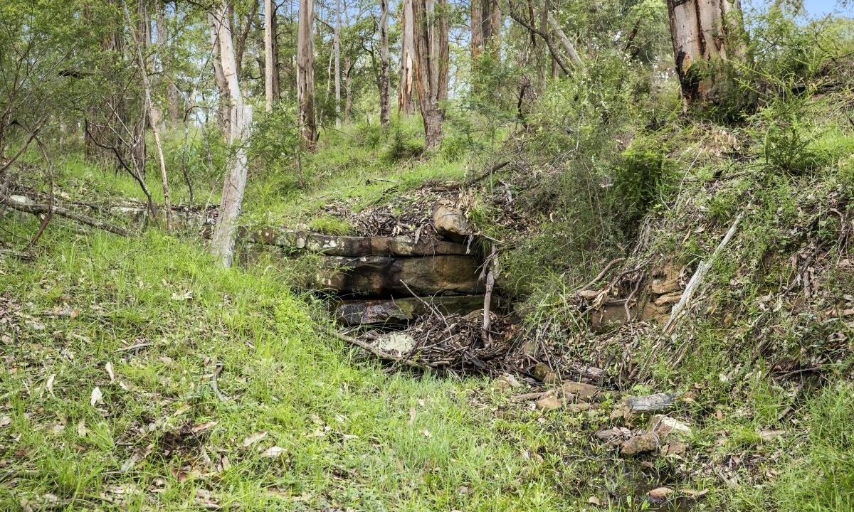 Photo of Outdoor in Sawyers Gully
