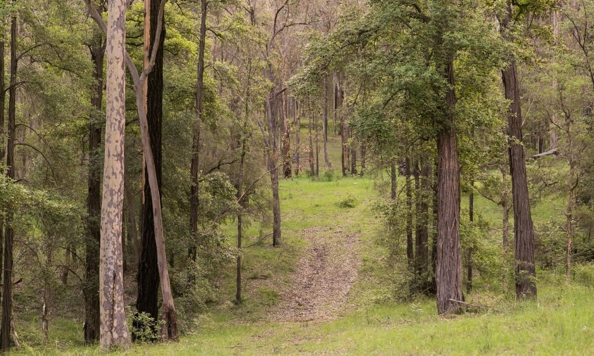 Photo of Outdoor in Sawyers Gully