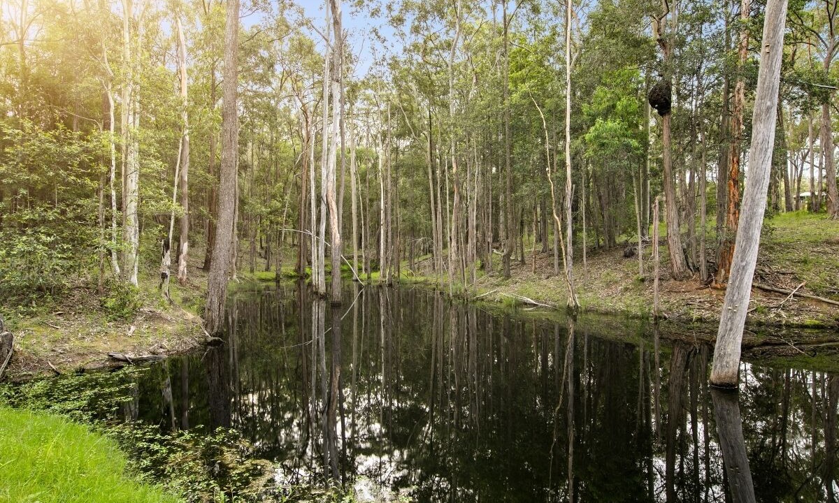 Photo of Outdoor in Sawyers Gully