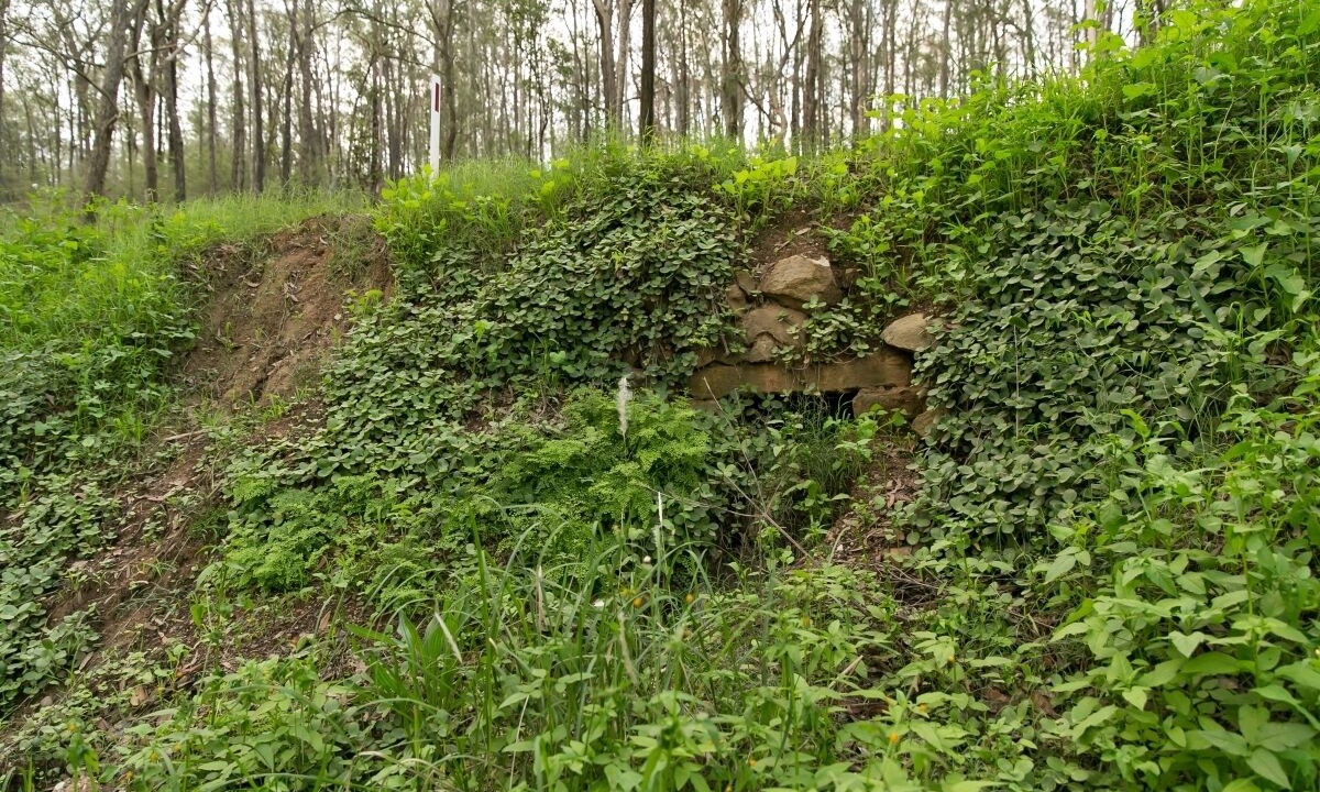 Photo of Outdoor in Sawyers Gully