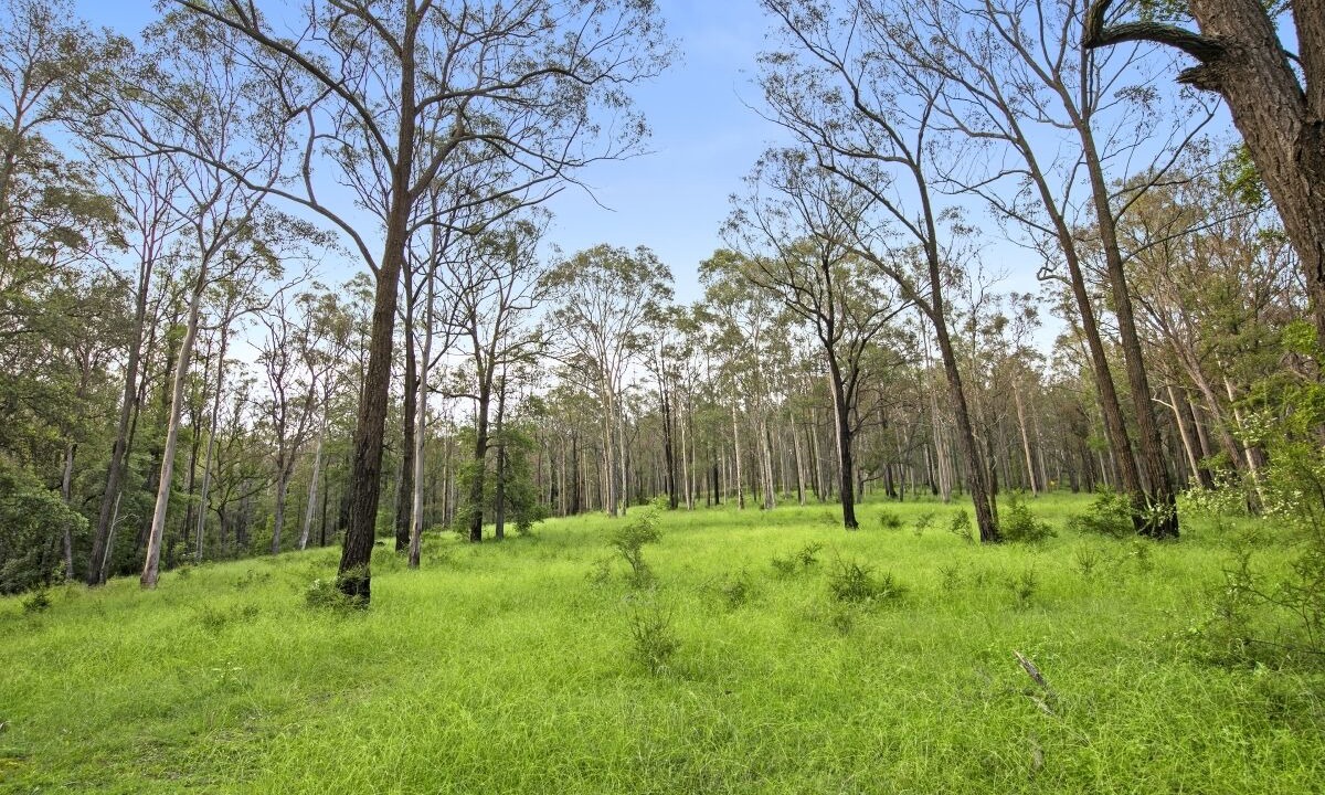 Photo of Outdoor in Sawyers Gully