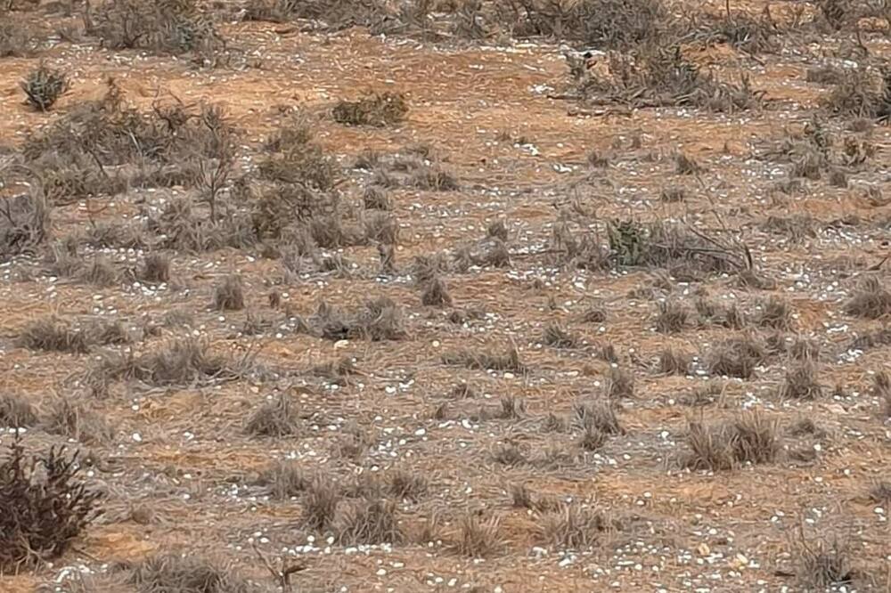 Photo of Outdoor in Mannum