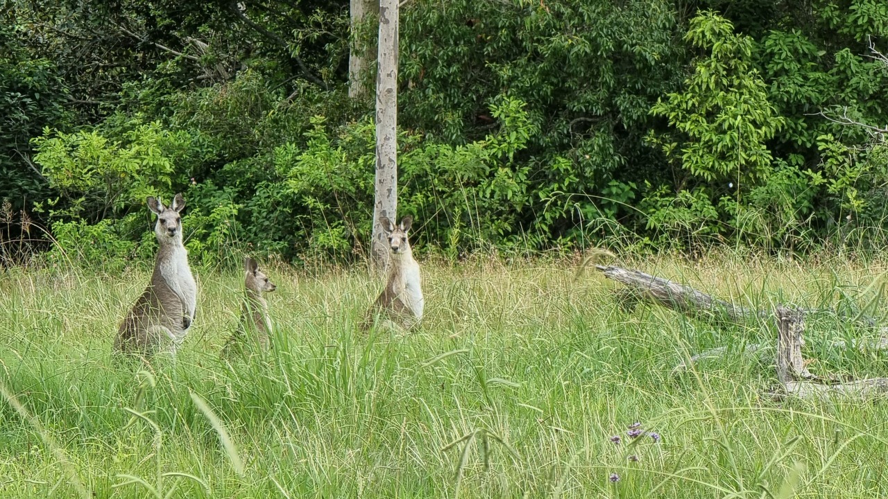 Photo of Outdoor in Vacy