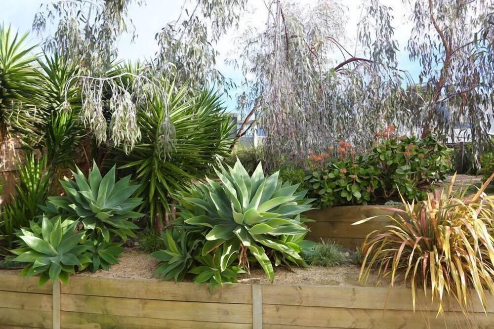 Photo of Outdoor in Jan Juc