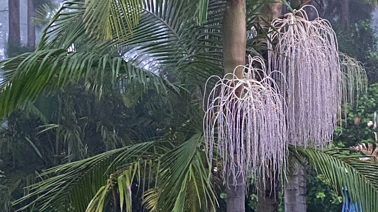 Photo of Outdoor in Newrybar