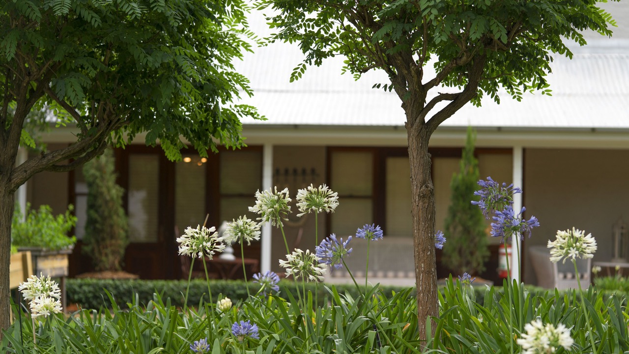 Photo of Outdoor in Pokolbin