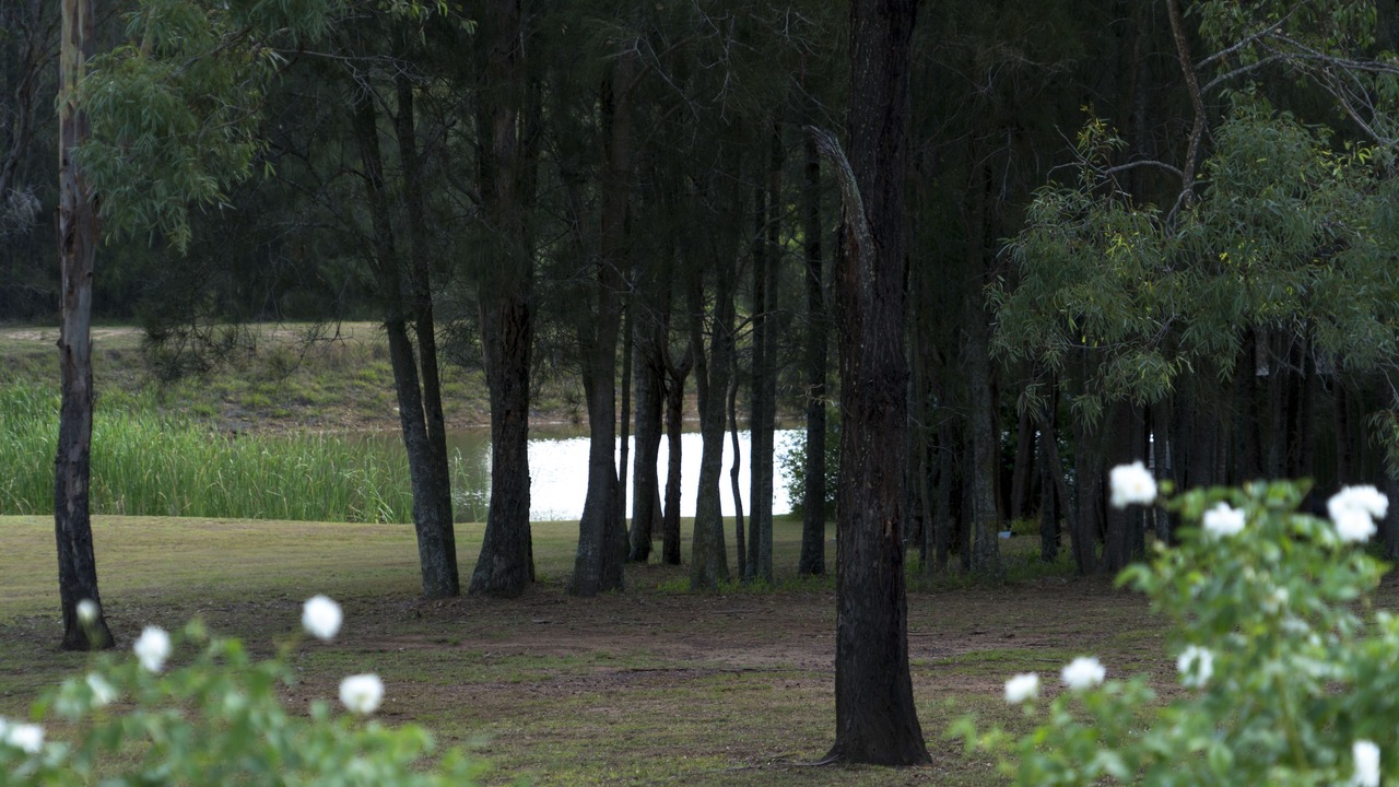 Photo of Outdoor in Pokolbin