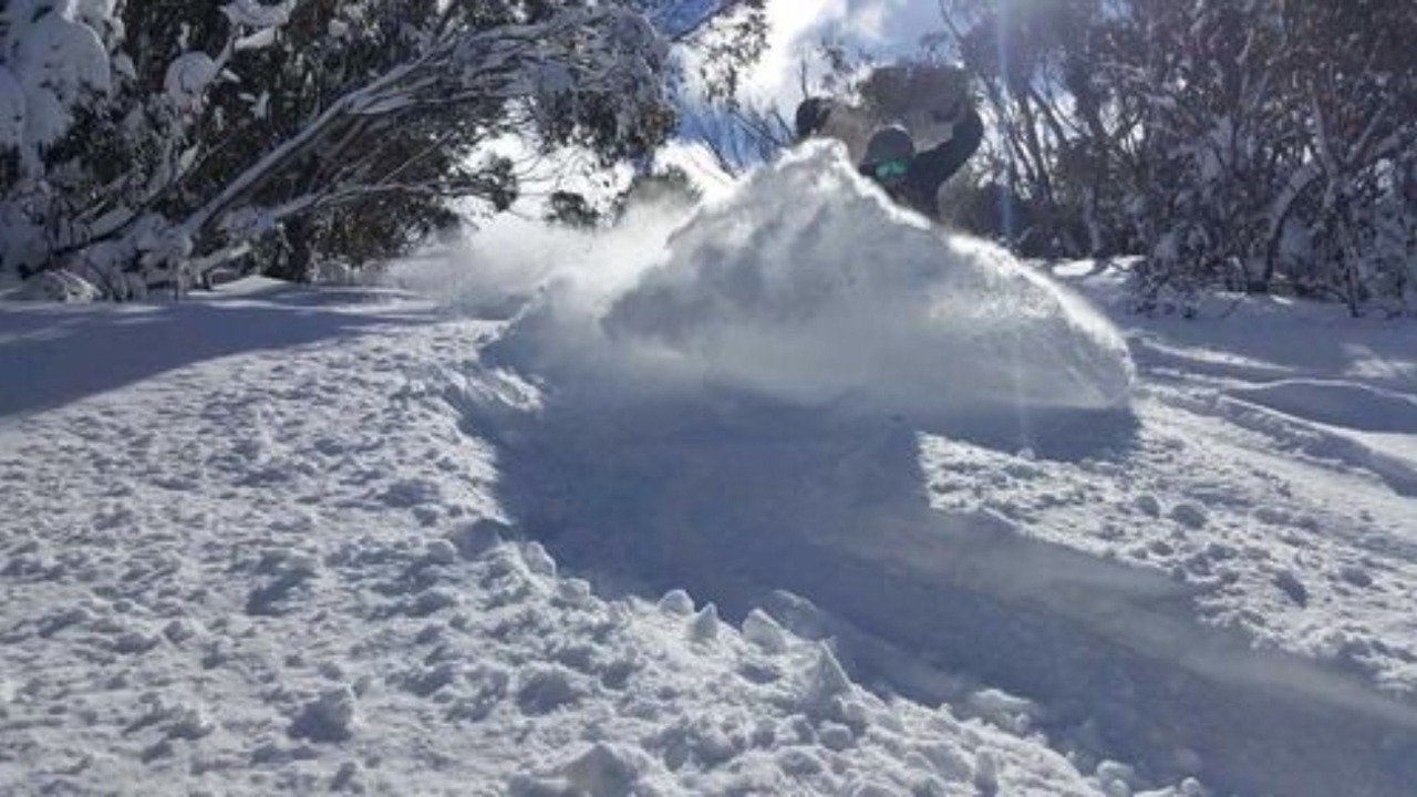 Photo of Others in Thredbo