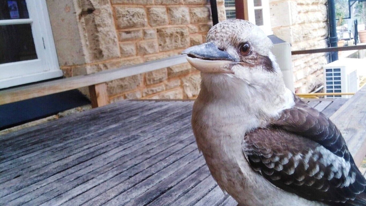 Photo of Patio Balcony in Yanchep