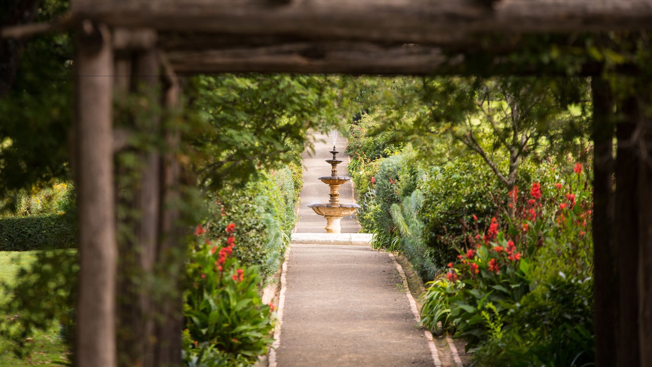 Photo of Outdoor in Montagu Bay