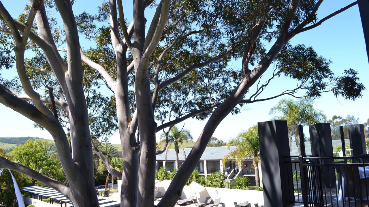 Photo of Outdoor in Gerringong
