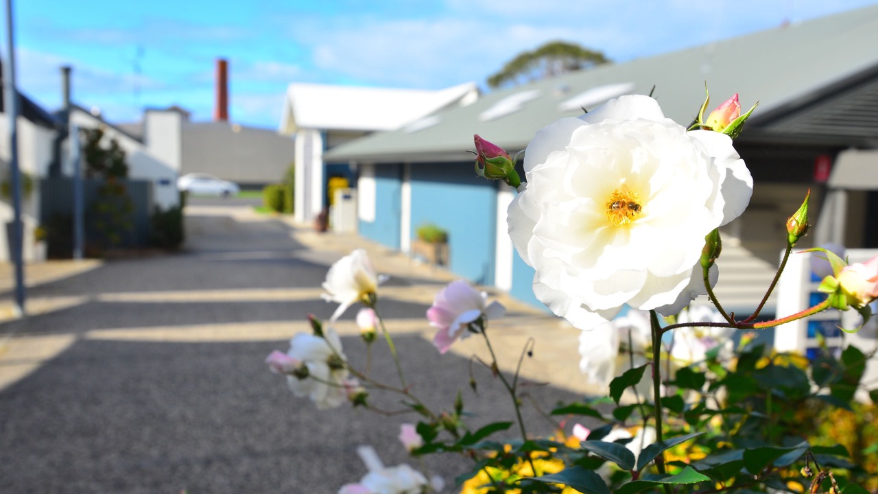Photo of Outdoor in Apollo Bay
