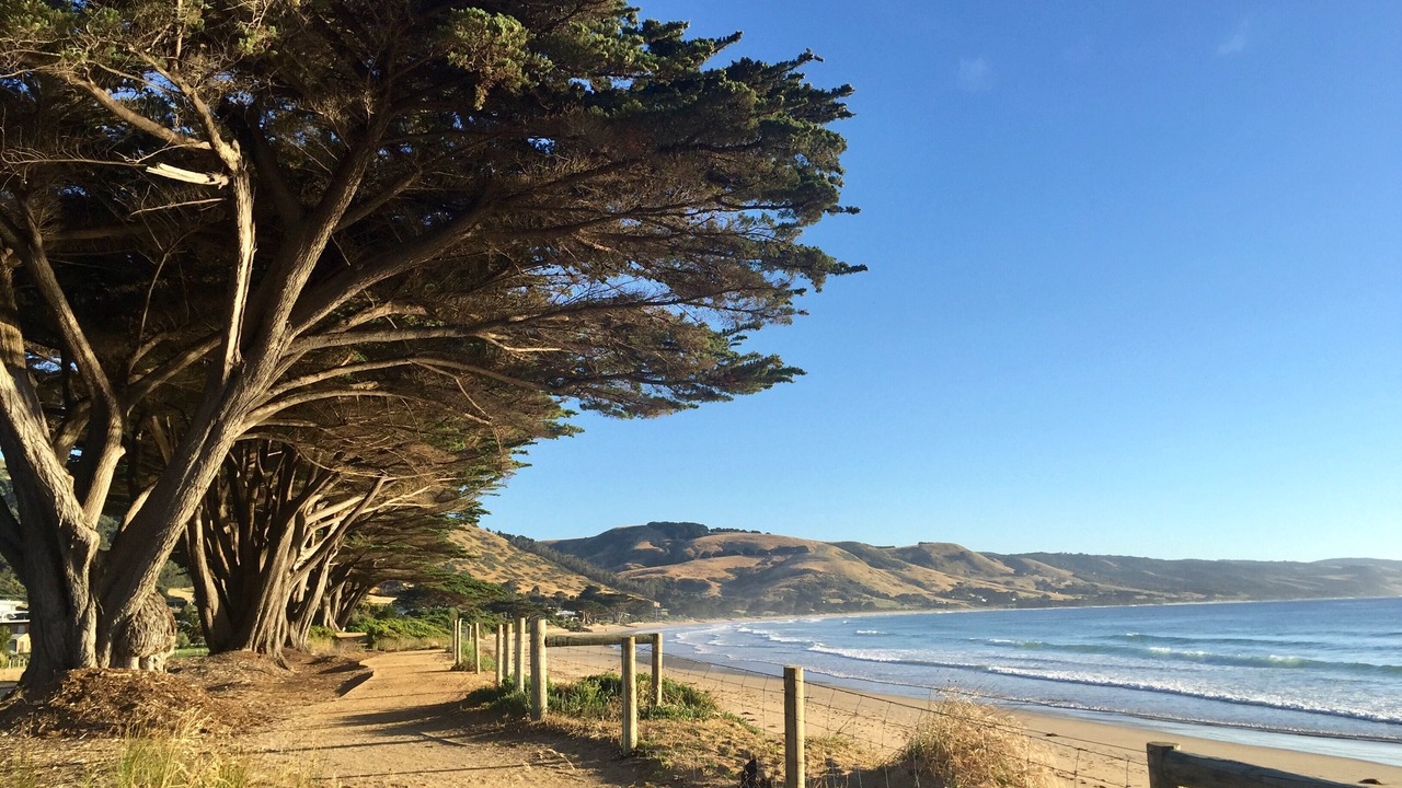 Photo of Outdoor in Apollo Bay