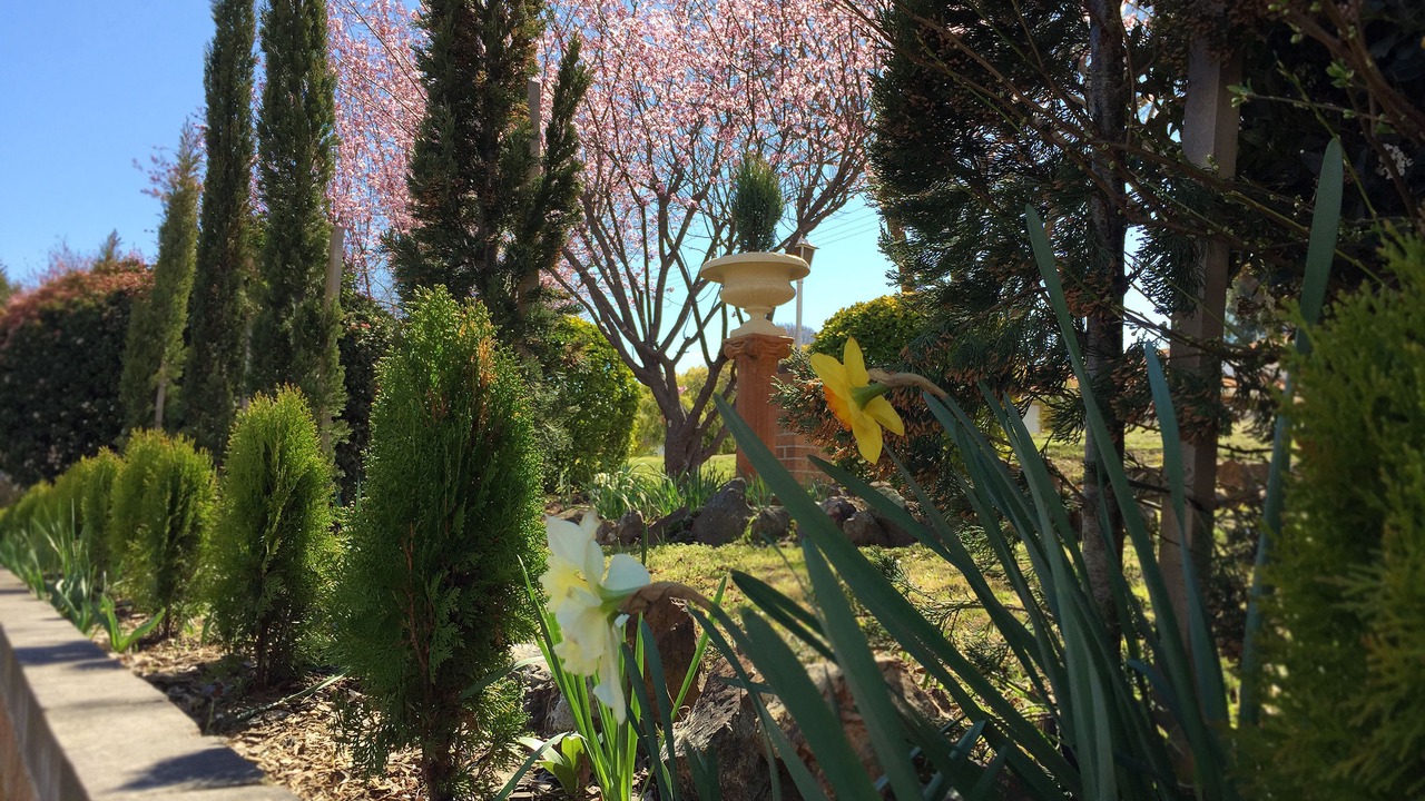 Photo of Outdoor in Armidale