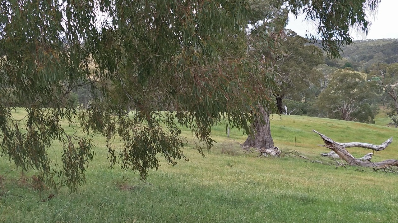 Photo of Others in Metcalfe