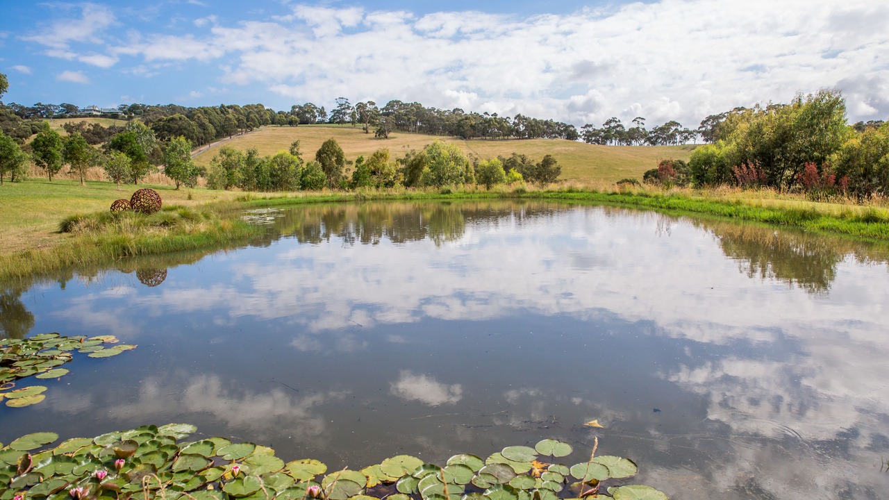 Photo of Others in Red Hill