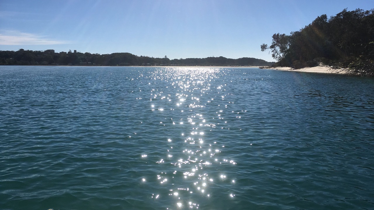 Photo of Others in Nambucca Heads