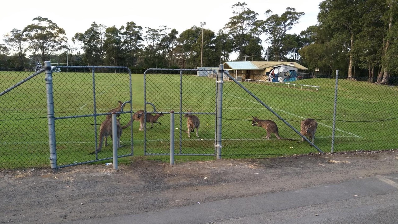 Photo of Others in Sanctuary Point