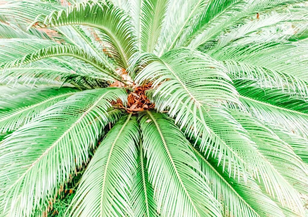 Photo of Outdoor in Sanctuary Point