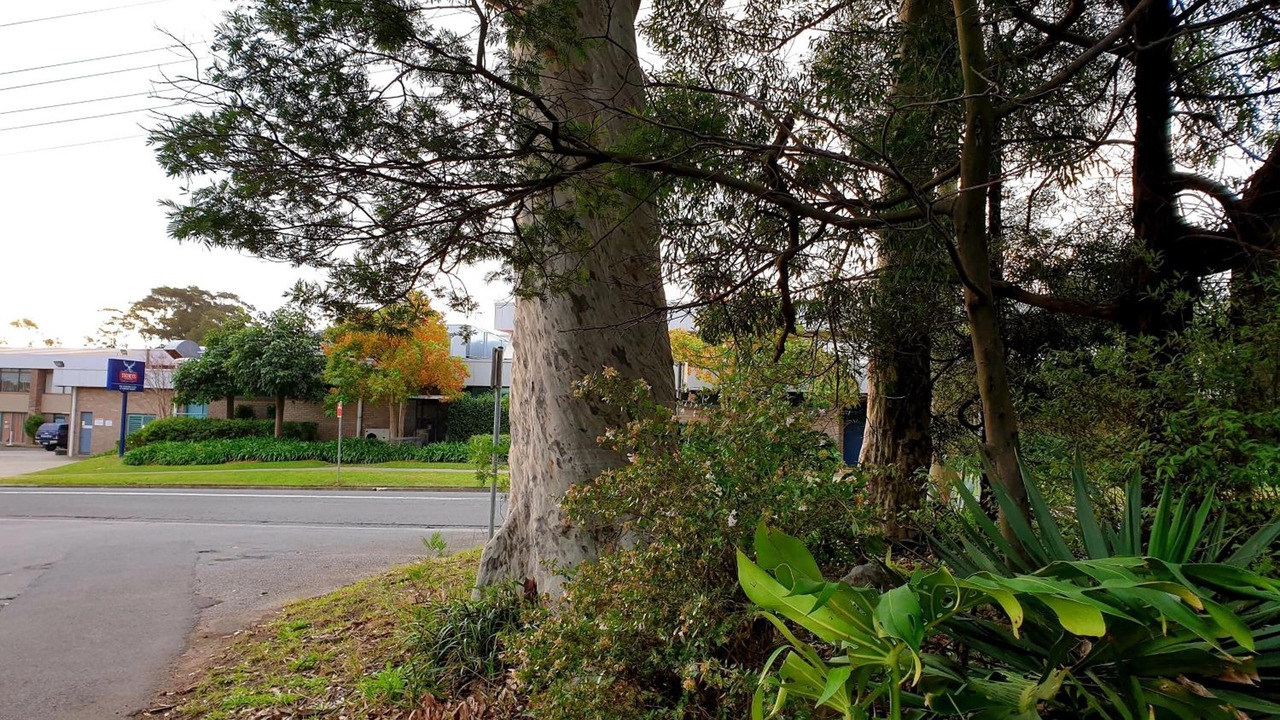 Photo of Outdoor in Sanctuary Point