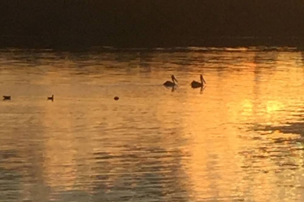 Photo of Others in Erowal Bay
