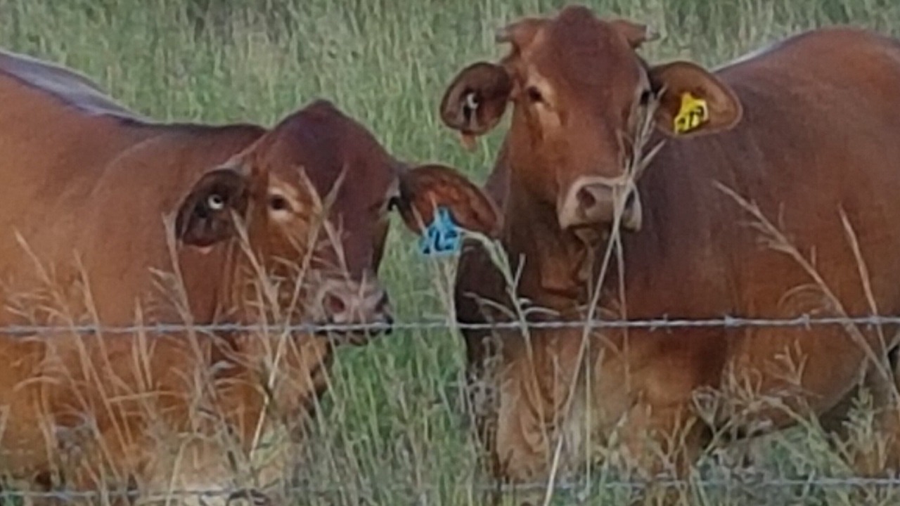 Photo of Outdoor in Esk
