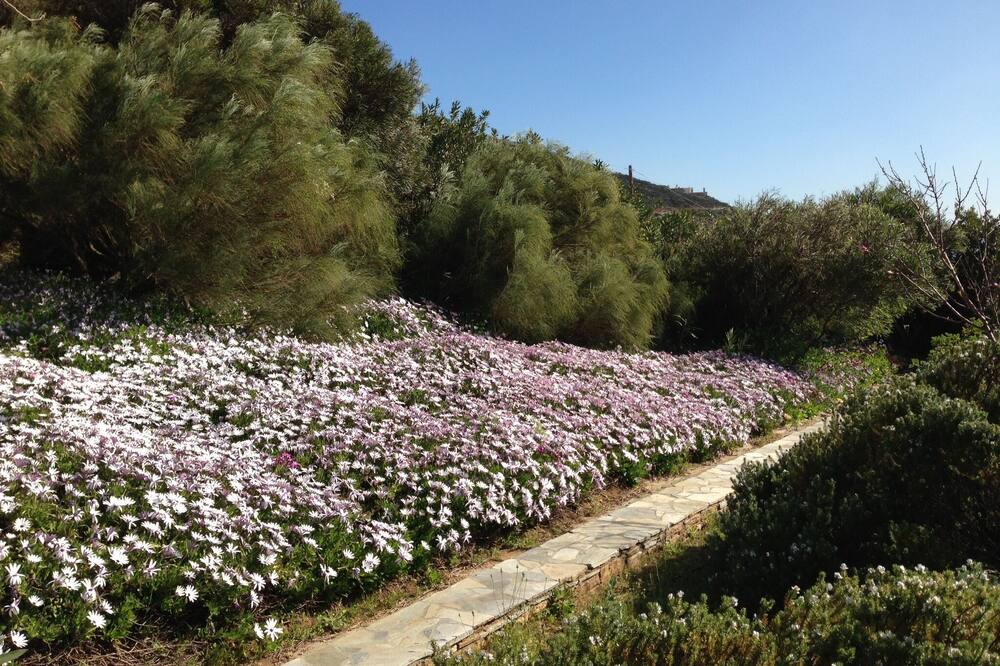 Photo of Outdoor in Gavrio
